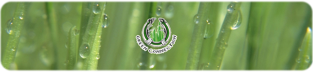 Hier geht's weiter zu Weizengras und Green Connection